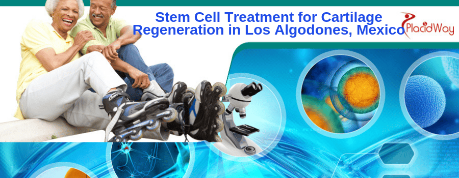 Stem Cell Treatment for Cartilage Regeneration in Los Algodones, Mexico